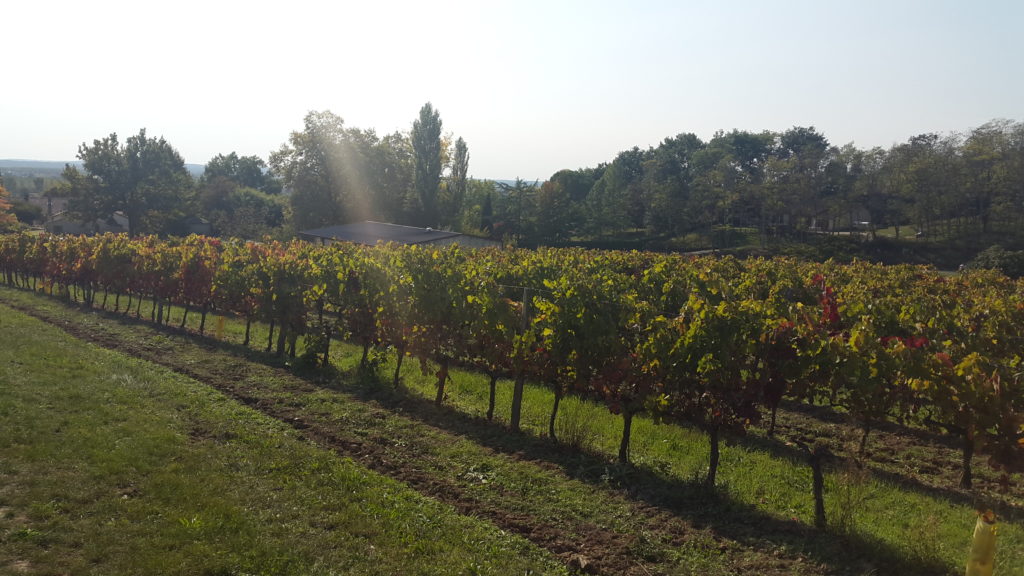 Domaine Bonnet à Marmande